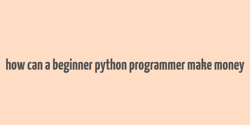 how can a beginner python programmer make money