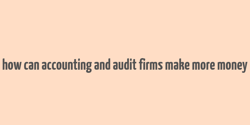 how can accounting and audit firms make more money