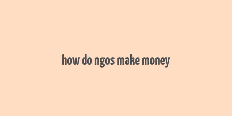 how do ngos make money