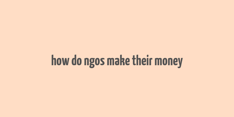 how do ngos make their money