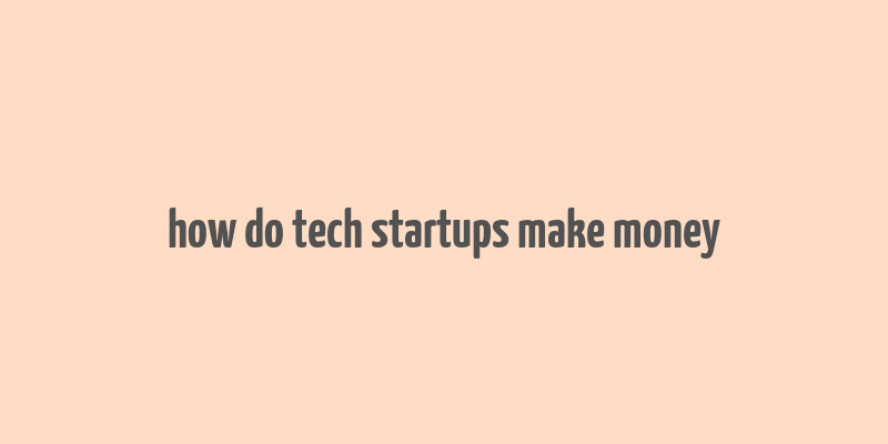 how do tech startups make money