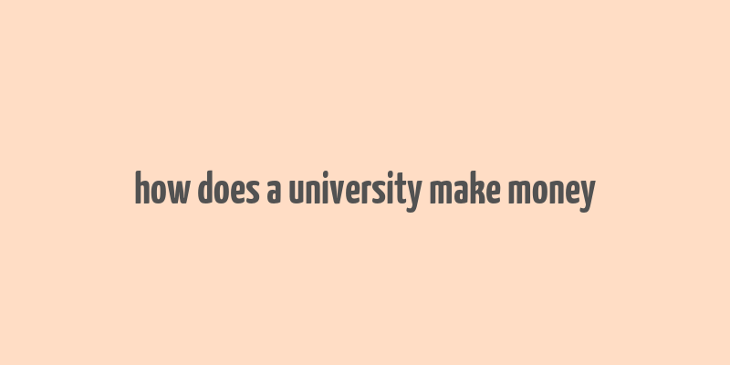 how does a university make money