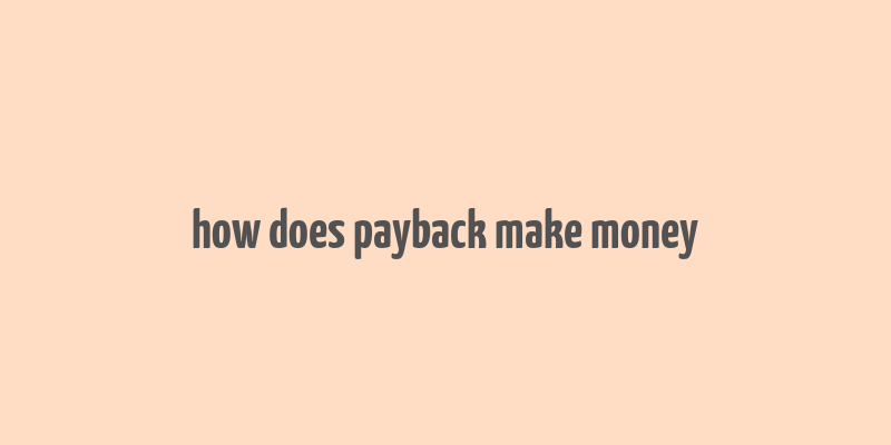 how does payback make money