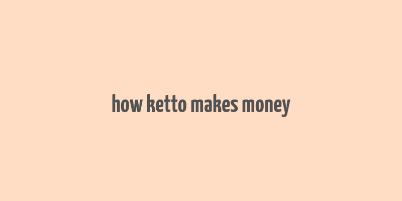 how ketto makes money