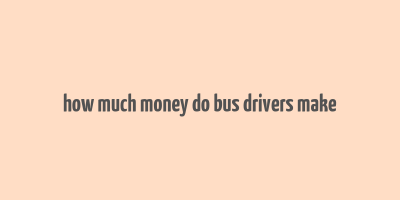 how much money do bus drivers make