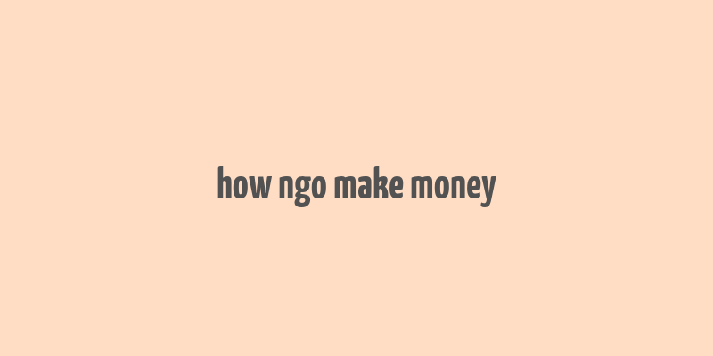 how ngo make money