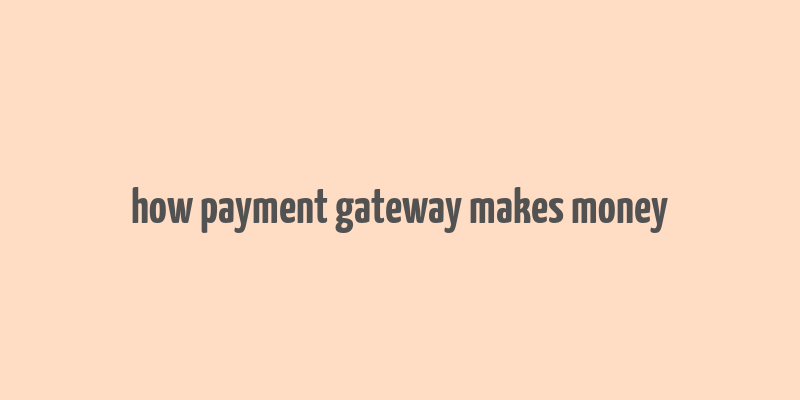 how payment gateway makes money