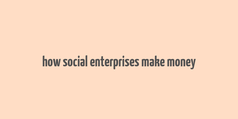 how social enterprises make money