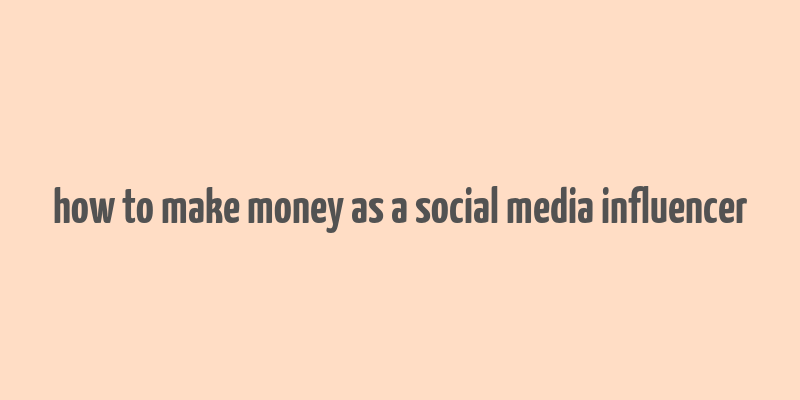 how to make money as a social media influencer