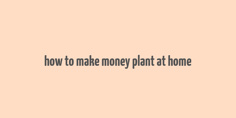 how to make money plant at home