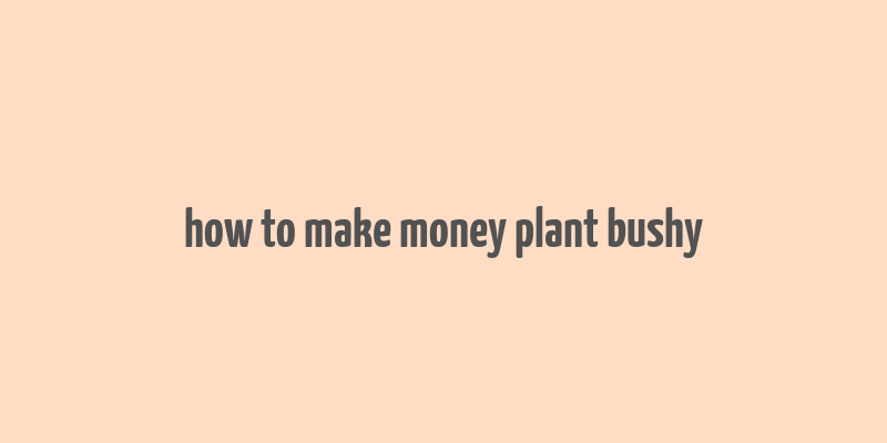 how to make money plant bushy