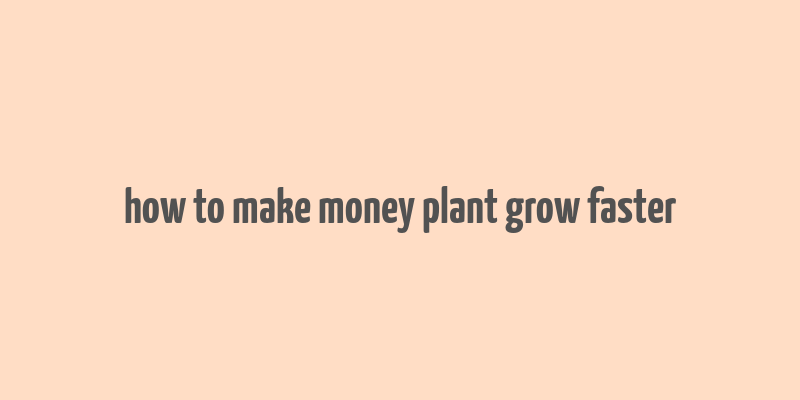 how to make money plant grow faster