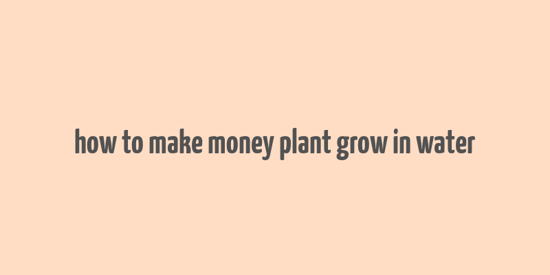 how to make money plant grow in water