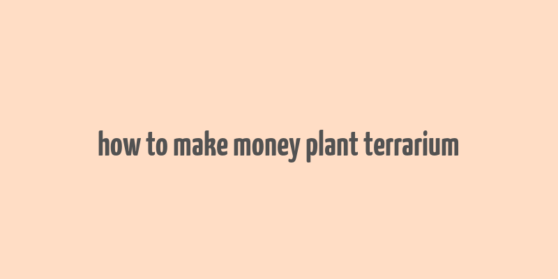 how to make money plant terrarium