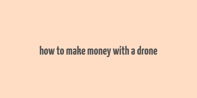 how to make money with a drone