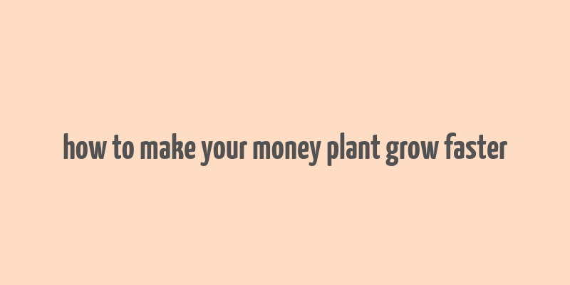 how to make your money plant grow faster