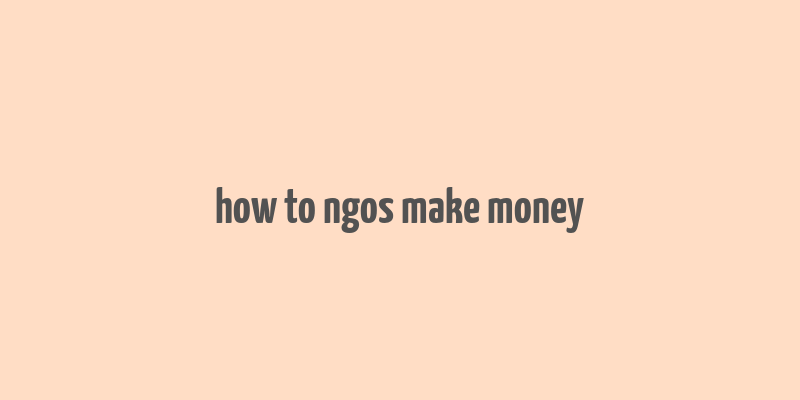 how to ngos make money