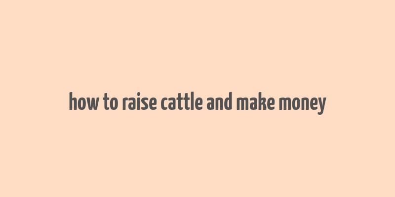 how to raise cattle and make money