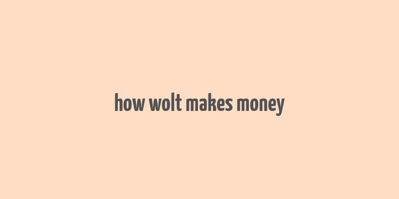 how wolt makes money